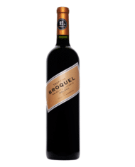 Trapiche Broquel Malbec 2019 Argentinie